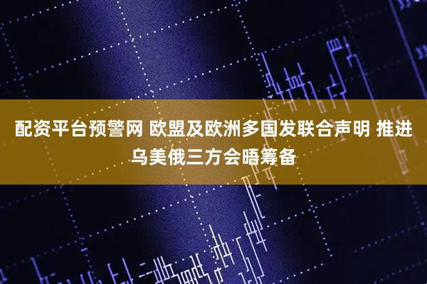 配资平台预警网 欧盟及欧洲多国发联合声明 推进乌美俄三方会晤筹备