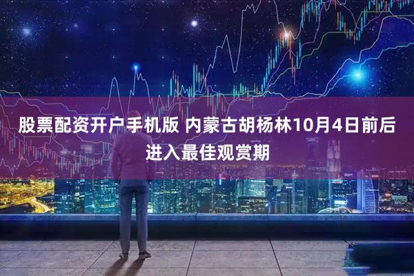 股票配资开户手机版 内蒙古胡杨林10月4日前后进入最佳观赏期