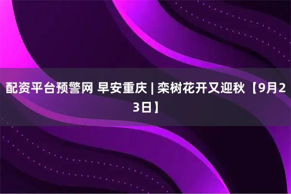 配资平台预警网 早安重庆 | 栾树花开又迎秋【9月23日】
